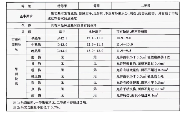 李子冷庫建造完成后如何用于儲存的？這些你都知道嗎